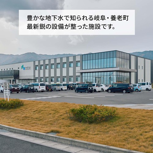 [鮮度+] 岐阜県産 かみもやし(製造翌日お届け) 200g