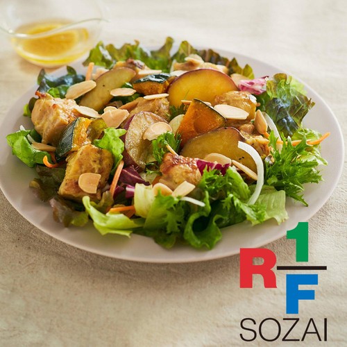 アール・エフ・ワン ハニーマスタードチキンとロースト野菜のサラダ 2