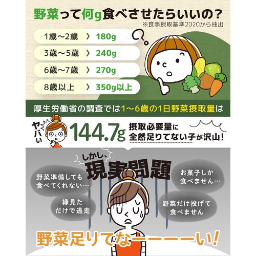 はぐくみ太郎 13種類 おやさいパウダー ミニサイズ 5ヶ月頃から 30g