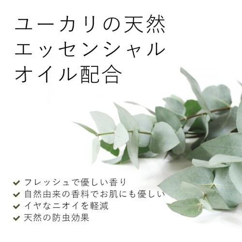 エコストア エコストア デリケート&ウールウォッシュ ユーカリ つめかえ用 1000mL