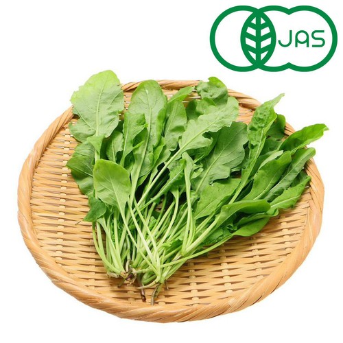【有機】千葉県産 さんぶファーム ルッコラ 50g 1袋