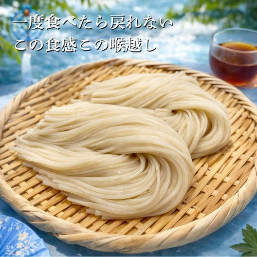 讃岐物産 プレミアム 半田手延素麺 3人前(270g)