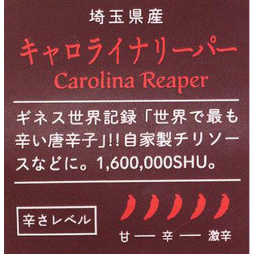 埼玉県産 十色 とうがらし (キャロライナリーパー) 1個 1袋