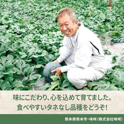 熊本県産 味咲のブラックジャック 大玉すいか 4.5kg 1玉