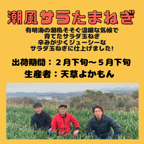 熊本県産天草よかもん 潮風サラたまねぎ 1.2kg(5-6個)