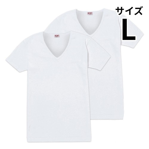 B.V.D. GOLD 半袖Vネックシャツ 2枚組 L ホワイト