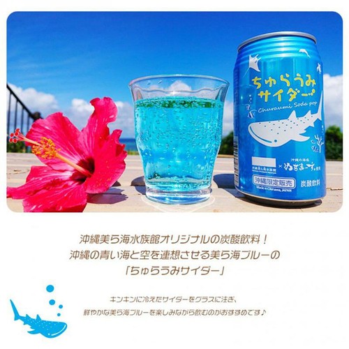 沖縄美ら島財団 ちゅらうみサイダー 350ml