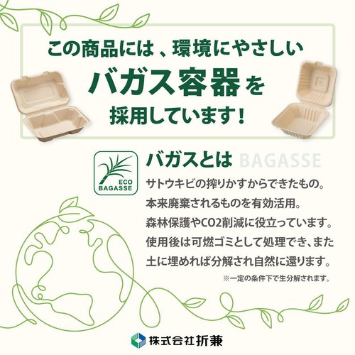 [食べごろ+]【有機】ニュージーランド産ゼスプリ グリーンキウイフルーツ 小さめ 9個 720g