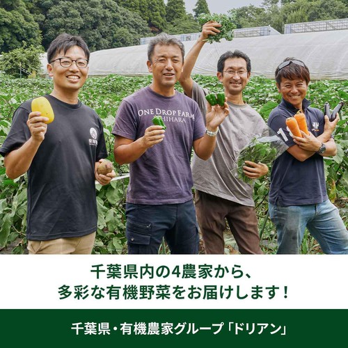 【有機】千葉県産 黒にんにく 80g
