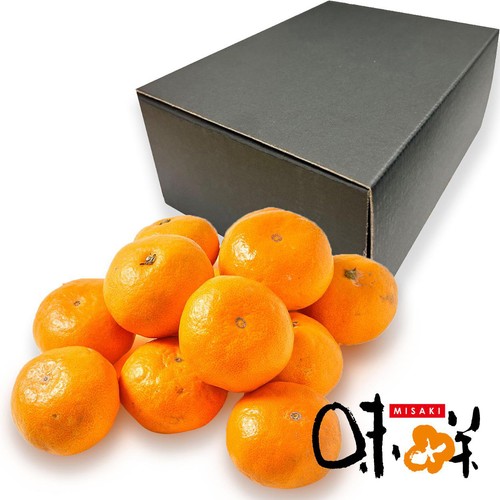 熊本県産 味咲のみかん M-Sサイズ 化粧箱 1.1kg Green Beans