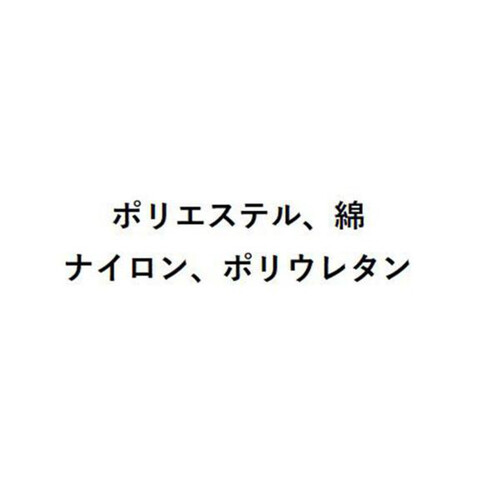 グンゼ アクティブスタイル 婦人アーチサポート付きスニーカーソックス 23ー25cm ブラック