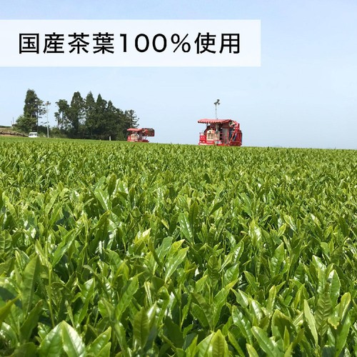 伊藤園 おーいお茶 PUREGREEN 1ケース 2L x 6本