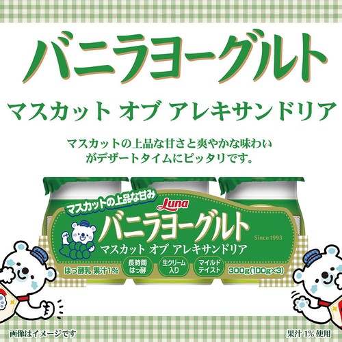 日本ルナ バニラヨーグルト マスカット オブ アレキサンドリア 100g x 3個
