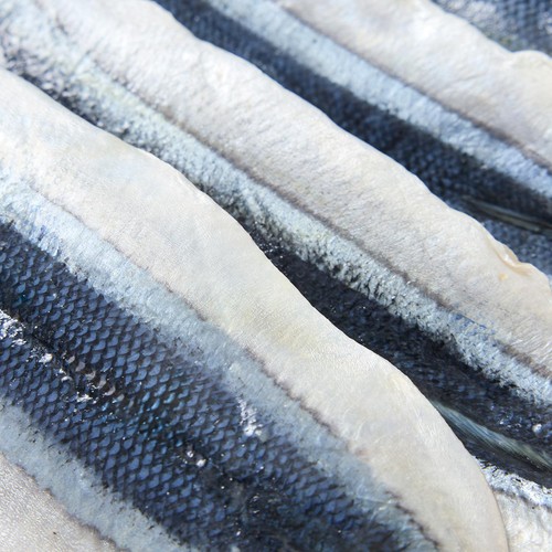 【冷凍】 北海道産パクパクさんま 4枚(160g)