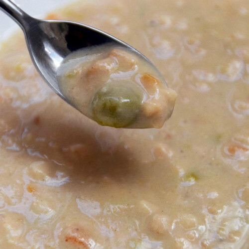 ドギーマン ハヤシ わんちゃんの国産低脂肪牛乳スープごはん 13歳からのシニア用 ササミと緑黄色野菜入り 80g