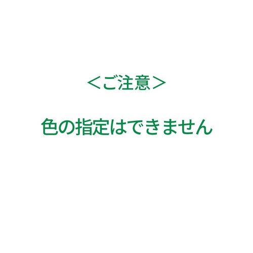 ライオン システマ 電動アシストブラシ 付替ブラシ 薄型コンパクトヘッド ふつう 2本