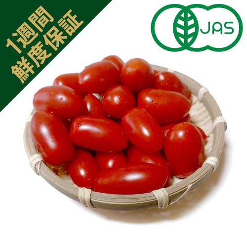［鮮度＋］【有機】千葉県産 へたなしミニトマト 250g
