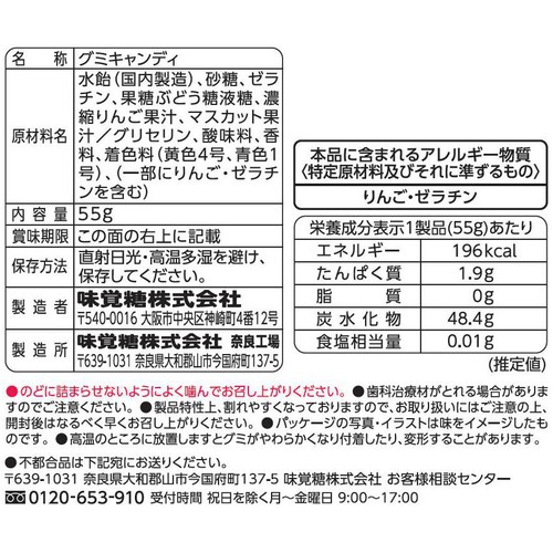 UHA味覚糖 グミだま シャインマスカット 55g