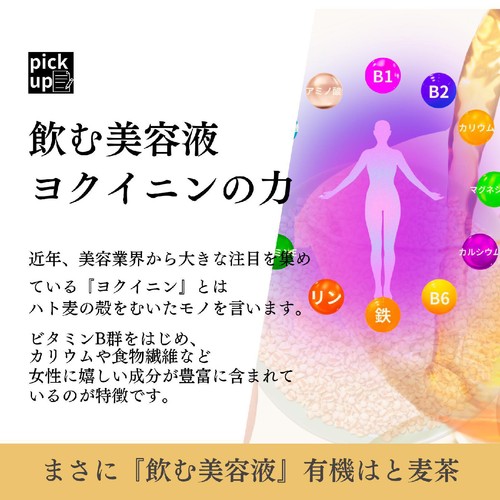 山城物産 有機はと麦茶ティーバッグ 3gX20袋