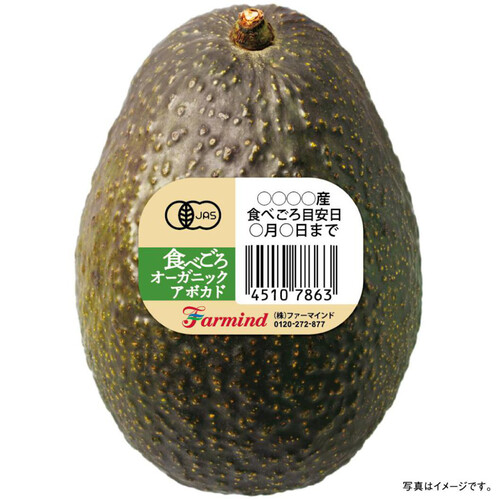 有機】輸入 ファーマインド 食べごろアボカド(冷蔵庫保管) 190g 1個