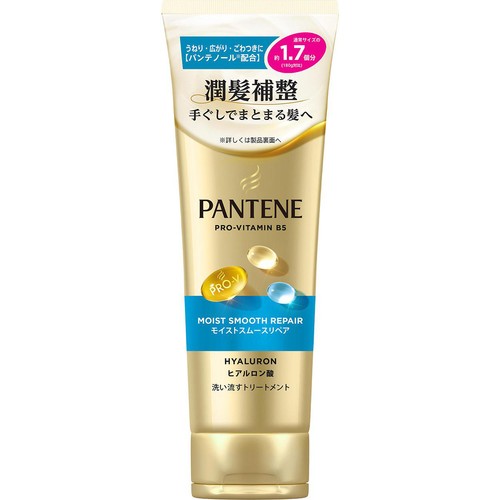 P&G パンテーン モイストスムースリペア 洗い流すトリートメント 特大サイズ 300g