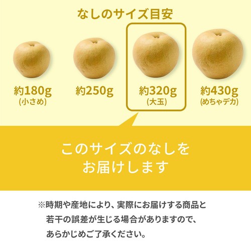 国内産 幸水梨 大玉 2個入