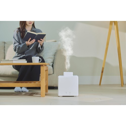 ドウシシャ お手入れカンタン スチーム式加湿器 ホワイト KSA-351WH