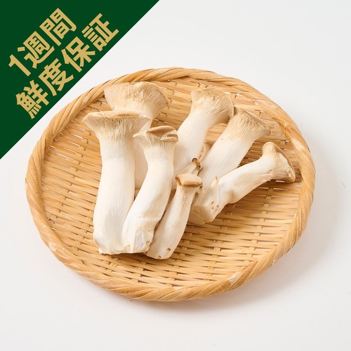 鮮度+］新潟県産 雪国えりんぎ 300g 1パック Green Beans | グリーン