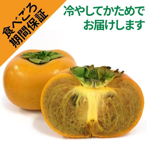 [食べごろ+] 和歌山県 紀の川柿 大玉 2個