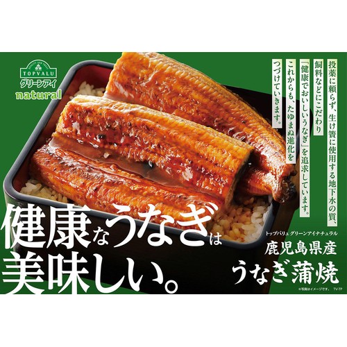 【冷凍】鹿児島県産 うなぎ蒲焼 大 1尾 トップバリュグリーンアイナチュラル