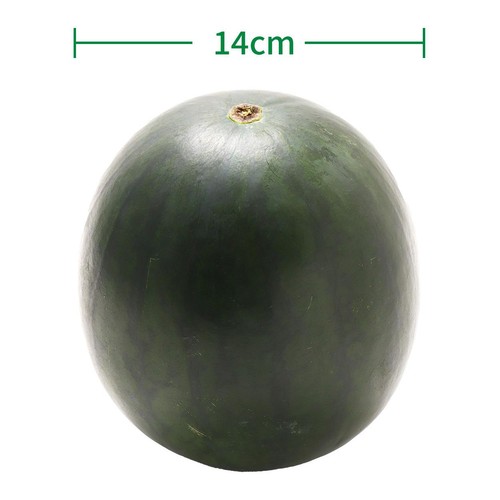 国内産 黒小玉すいか 1.4kg 1玉