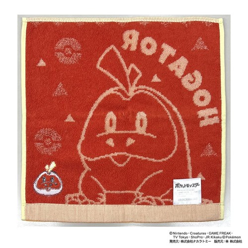 ポケモン タオルハンカチ ホゲータ 約25 x 25cm