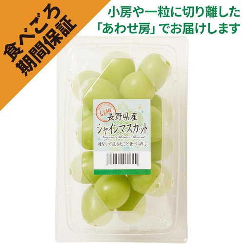 ［食べごろ+］長野県産 たけむらふぁーむのシャインマスカット 250g