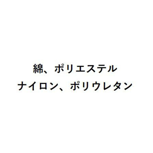 グンゼ POLO 紳士クルーソックス 25-27 ブラック