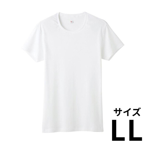 グンゼ YG 紳士 ピュアコットンクルーネックTシャツ LL ホワイト