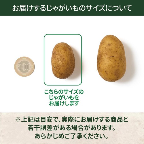 北海道産森浦農場 じゃがいも インカのめざめ(こつぶ) 600g 1袋 Green