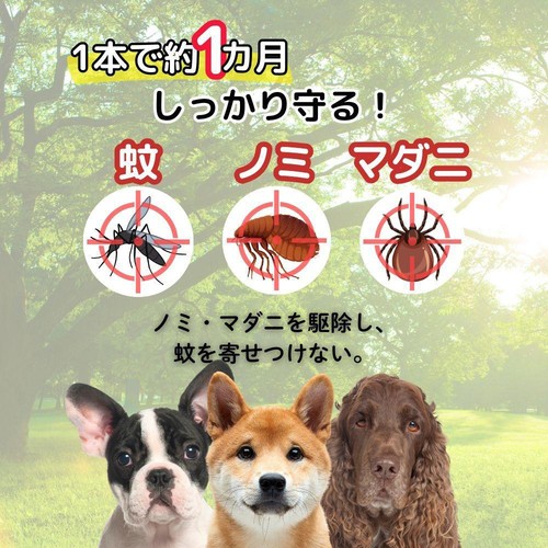 【ペット用】 アース・ペット ショットオン 中型犬用 5kg以上15kg未満 3本