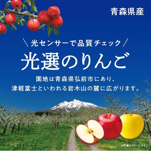青森県産ファーマインド 真の実光選のふじ 2個