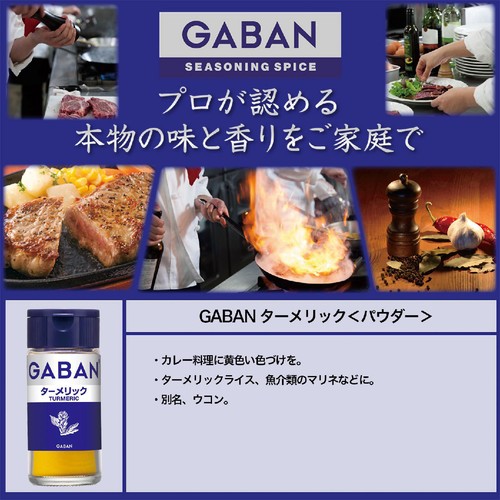 ハウス食品 GABAN ギャバン ターメリック 18g