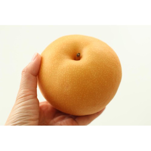 ［食べごろ+］長野県産 小林さんたちの豊水梨 大玉 1個 320g