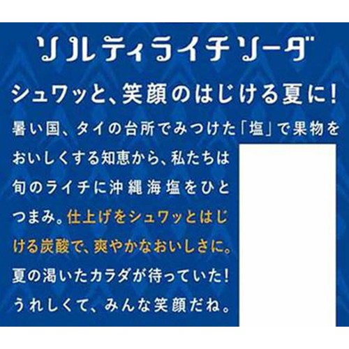 キリンビバレッジ キリン 世界のキッチンから ソルティライチソーダ 500ml