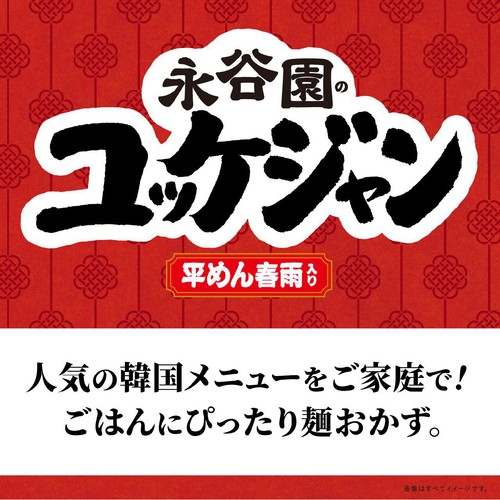 永谷園 ユッケジャン 平めん春雨入 2~3人前(93g)