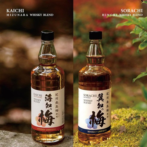 10%/和歌山県】 ウイスキーブレンド梅酒 翼知の梅 720ml Green Beans