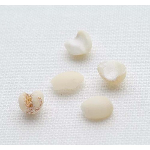 はくばく 雑穀クッキングクラブ はと麦 120g