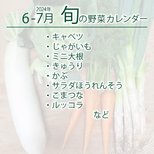 神奈川県産 おまかせ三浦野菜セット 1パック