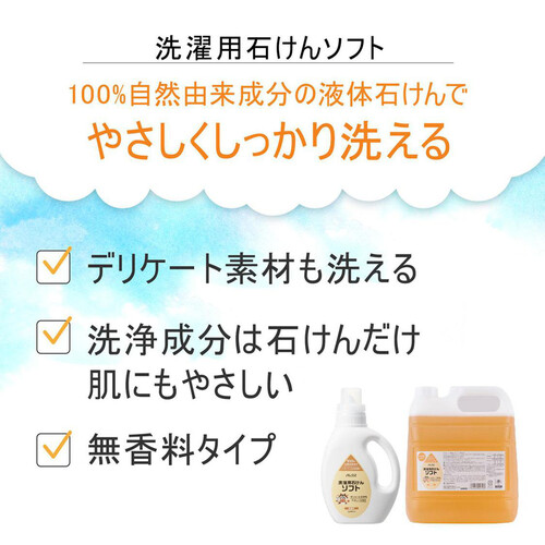 太陽油脂 パックス 洗濯用石けん ソフト 大容量 4000ml Green Beans