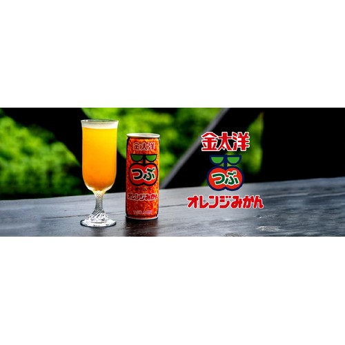 太洋食品 金太洋 つぶオレンジみかん 250g Green Beans