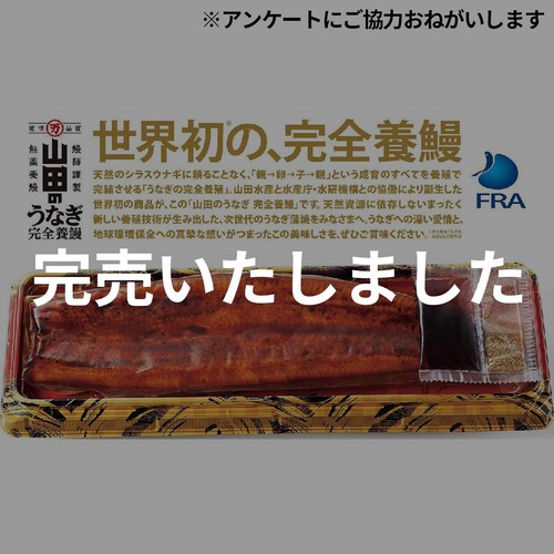 【冷凍】山田水産 鹿児島県産 完全養殖うなぎ蒲焼 特大 1尾(204g)【数量限定 25点】