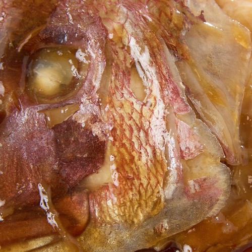 【冷凍】 養殖真鯛頭あら炊き 170g