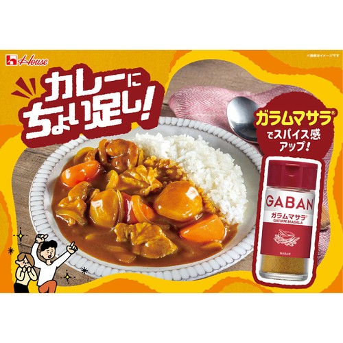 ハウス食品 GABAN ギャバン ガラムマサラ 17g